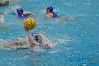 WWPolo vs CC  Wheaton College Women’s Water Polo compete in their sports inaugural match vs Connecticut College. - Photo By: KEITH NORDSTROM : Wheaton, water polo, inaugural